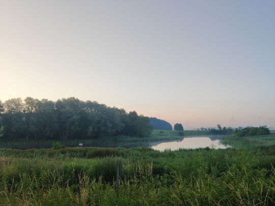 Schiffswiesen (Satow)-3