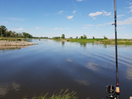Elbe (Pretzsch)