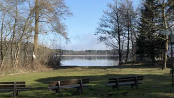 Springsee-1