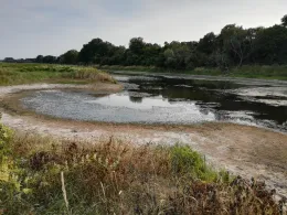 Elbnebengewässer Hämerten-2