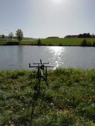 Goldbachteich (Schwarzenbach/Saale)