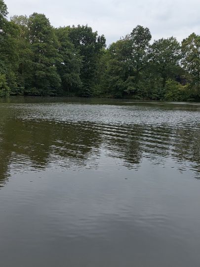 Mergekuhle Bollingstedt