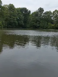 Mergekuhle Bollingstedt