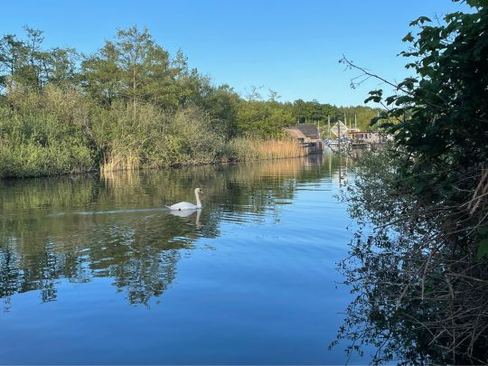 Werderkanal (Schwerin)-1