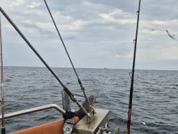 Nordsee (Hirtshals)-2