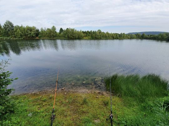 Großenwiedener Seen (FV Vlotho) angeln