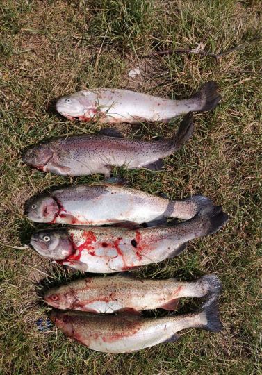 Angelpark Weddendorf-3