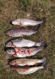 Angelpark Weddendorf-3