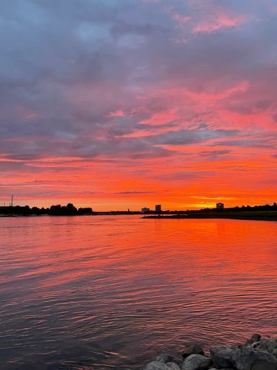 Rhein (Düsseldorf)
