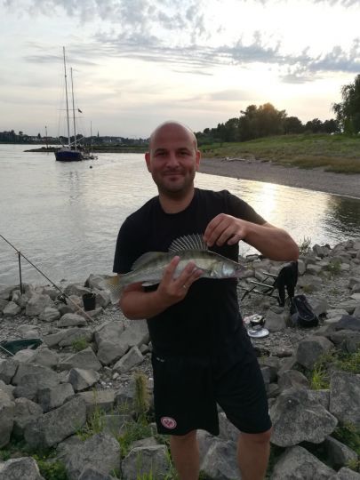 Rhein (Düsseldorf)-3