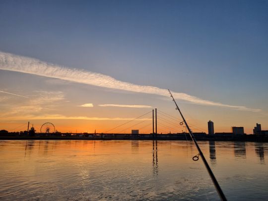 Rhein (Düsseldorf)-4
