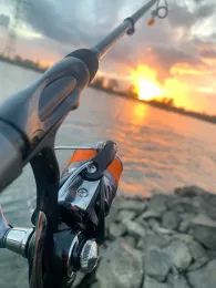 Rhein (Duisburg-Walsum)-1