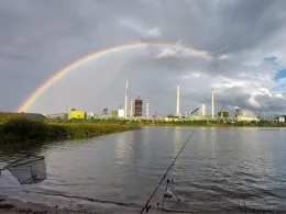 Rhein (Duisburg-Walsum)-2