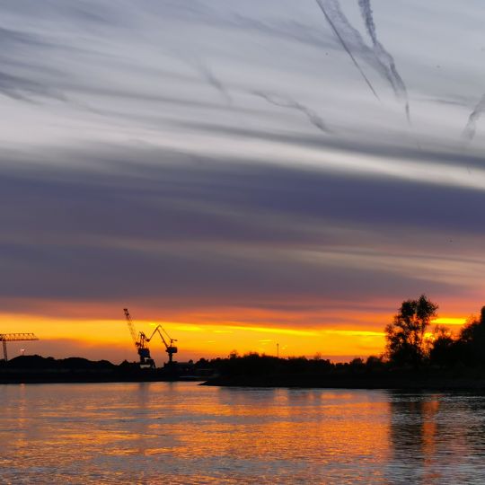 Rhein (Duisburg-Walsum)-4