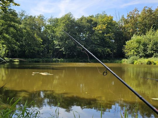 Poldersee Hollersiel-2