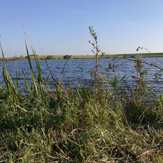 Poldersee Hollersiel angeln