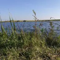 Poldersee Hollersiel-1