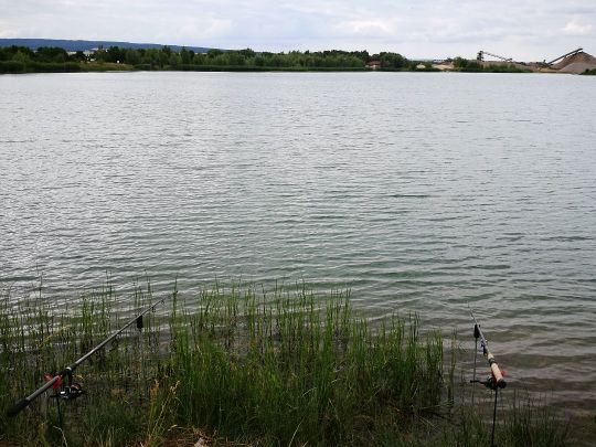 Kiesgrube K2 (Bad Frankenhausen) angeln