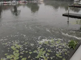 Näthewinde (Brandenburg/Havel)