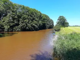 Woppenkamper Bäke (Steinhausen)