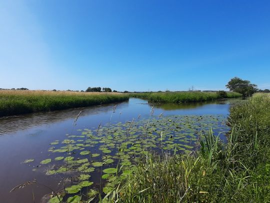 Woppenkamper Bäke (Steinhausen)-2