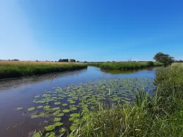 Woppenkamper Bäke (Steinhausen)-2