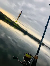 Neckar (Neckarwestheim)-2