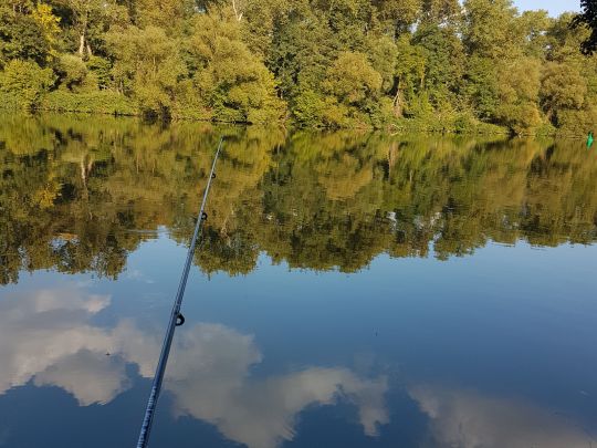 Neckar (Neckarwestheim)-4