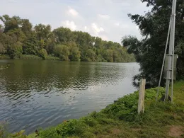 Neckar (Neckarwestheim)-3