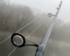 Neckar (Neckarwestheim)