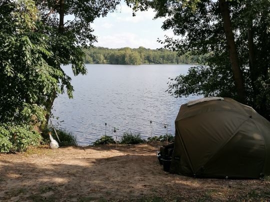 Kiessee Maust