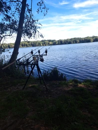 Kiessee Maust-2