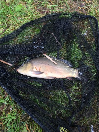 Kalkbruchsee (Lüneburg)-1