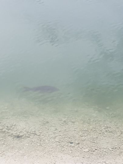 Kalkbruchsee (Lüneburg)-3