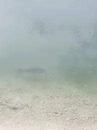 Kalkbruchsee (Lüneburg)-3