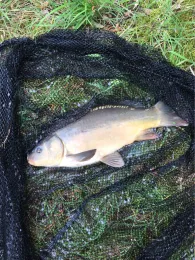 Kalkbruchsee (Lüneburg)