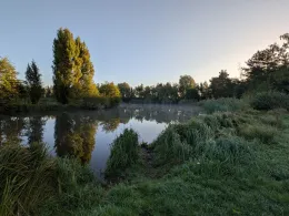 Weiher Harskirchen -3