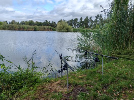 Weiher Harskirchen -2