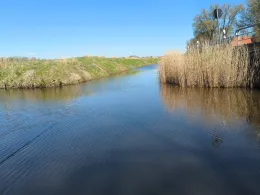 Großes Fedderwarder Tief-2