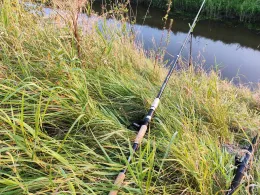 Großes Fedderwarder Tief-4