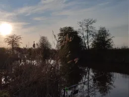 Großes Fedderwarder Tief-3