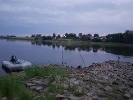 Oder (Hohenwutzen)-1