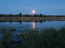 Oder (Hohenwutzen)-2