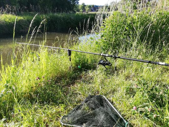 Weißer Schöps (Kodersdorf)-2