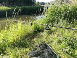 Weißer Schöps (Kodersdorf)-2