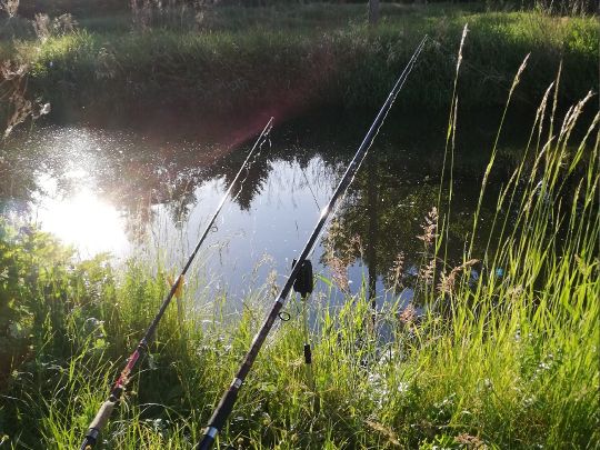 Weißer Schöps (Kodersdorf)-4