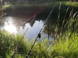 Weißer Schöps (Kodersdorf)-4