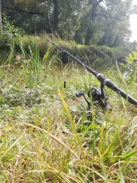 Weißer Schöps (Kodersdorf)-1