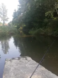 Weißer Schöps (Kodersdorf)