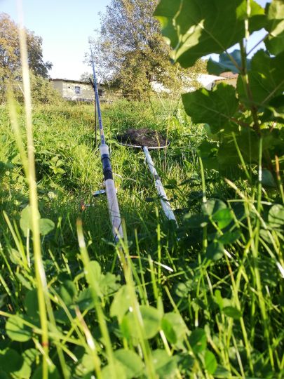 Weißer Schöps (Kodersdorf)-3